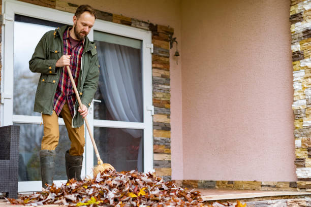Debris Removal in Sandoval, IL